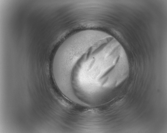 X0000063490447200602101837