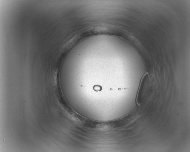 X0000063490454200602101837