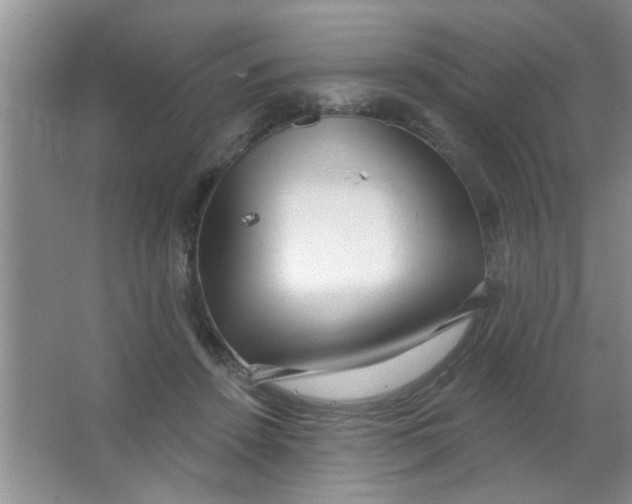 X0000063490456200602101837