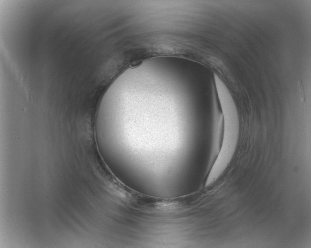 X0000063490457200602101837