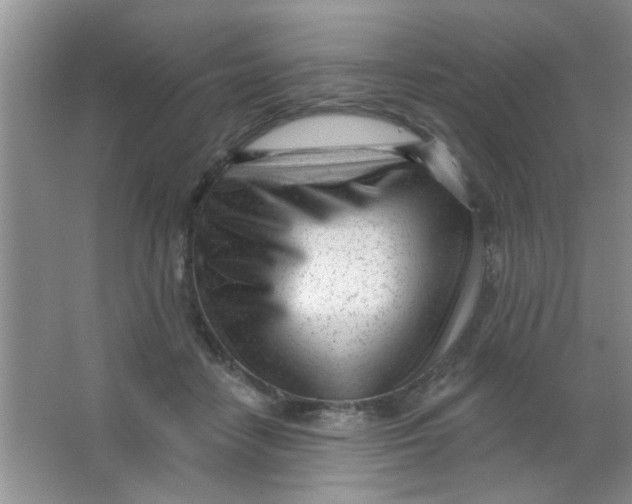 X0000063490458200602101837