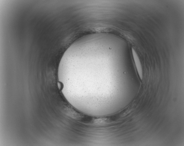 X0000063490461200602101838