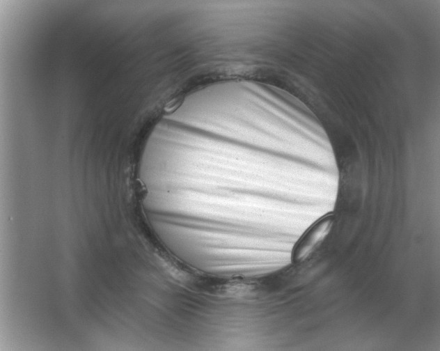 X0000063490462200602101838