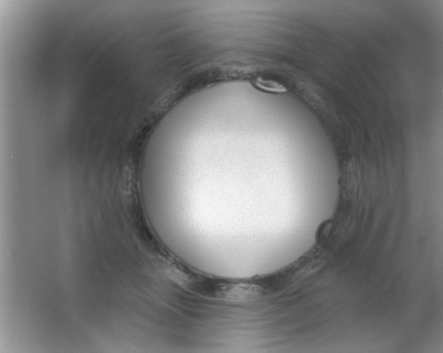 X0000063490463200602101838