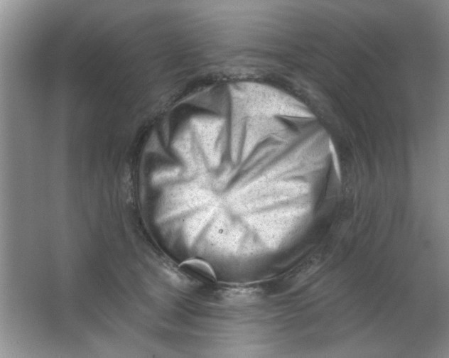 X0000063490465200602101838