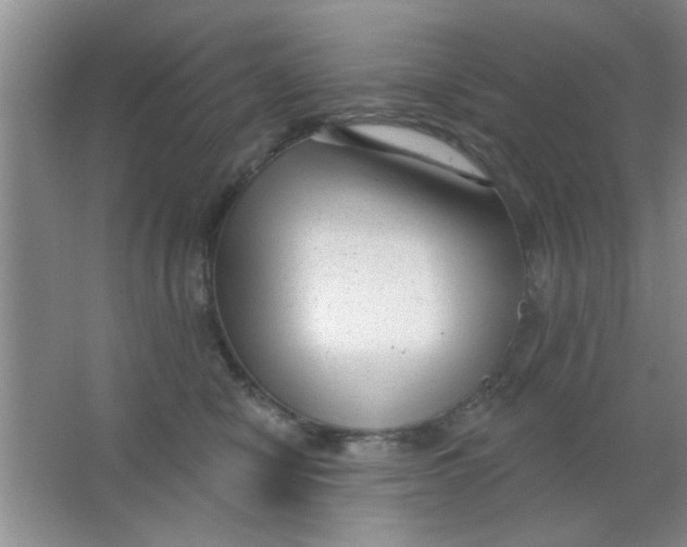 X0000063490470200602101838