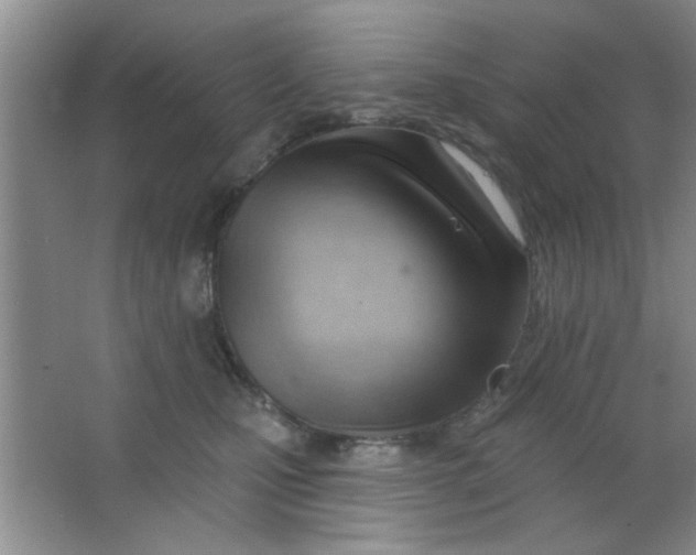 X0000063490471200602101838