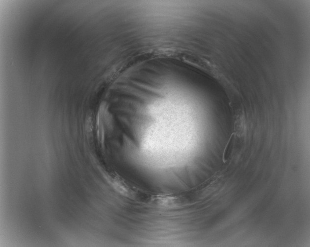 X0000063490472200602101838