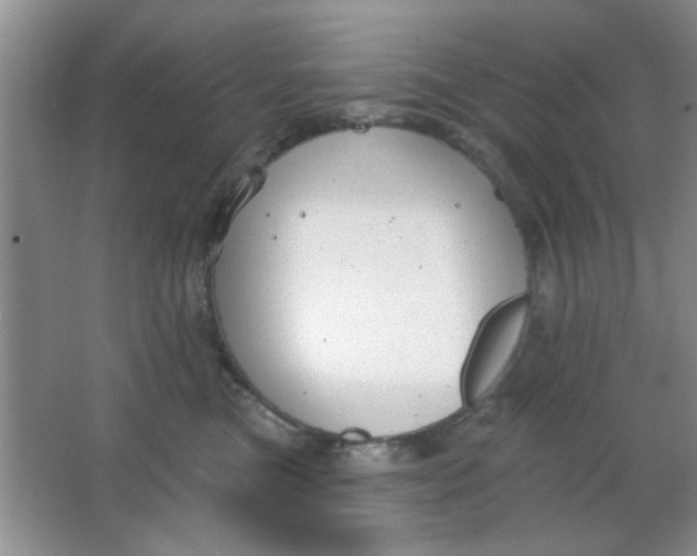 X0000063490473200602101838