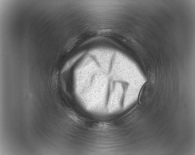 X0000063490475200602101838