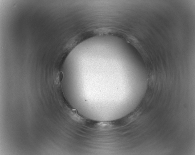 X0000063490477200602101838