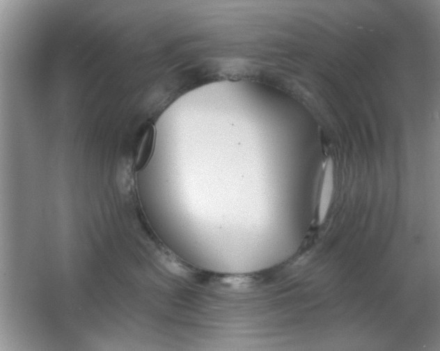 X0000063490478200602101838