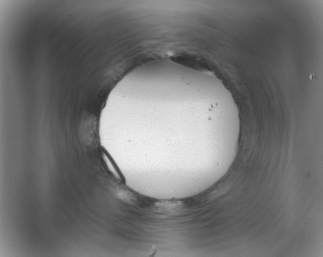 X0000063490480200602101838