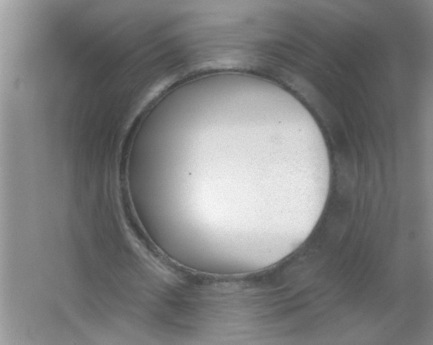 X0000063490482200602101837