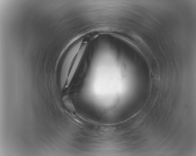 X0000063490484200602101837