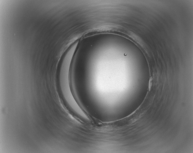 X0000063490485200602101837