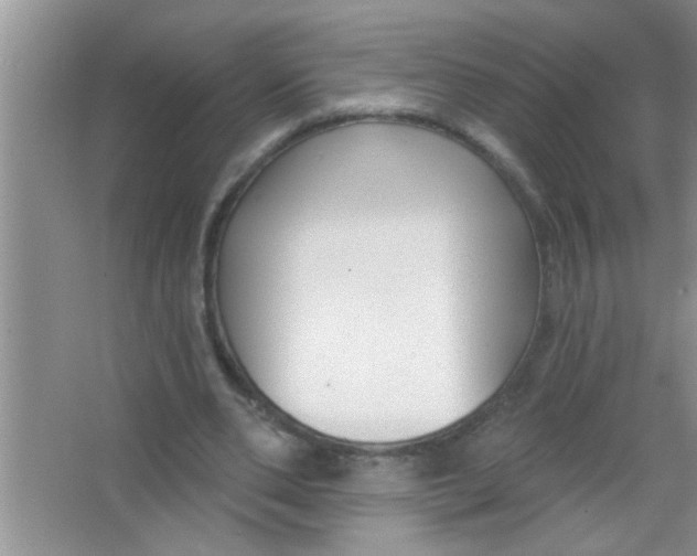 X0000063490486200602101837