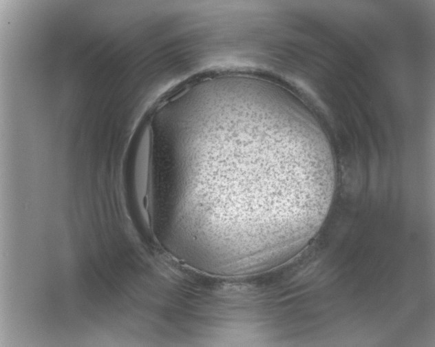 X0000063490487200602101837