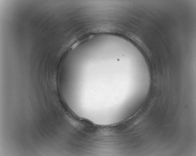 X0000063490489200602101837