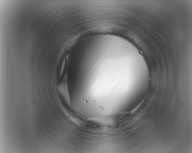 X0000063490493200602101837