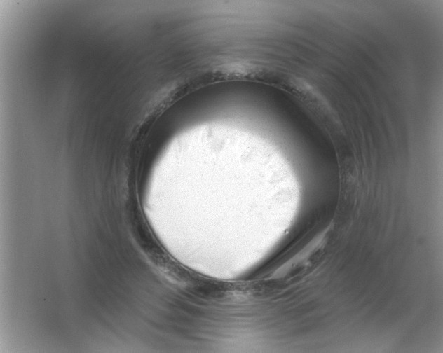 X0000063490496200602101837