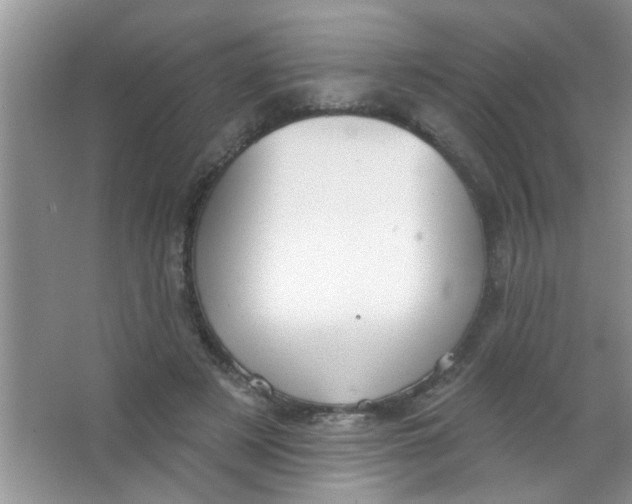 X0000063490497200602101837