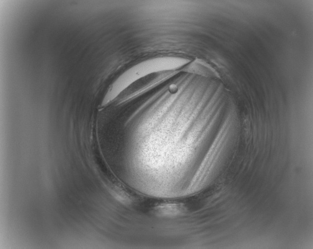 X0000063490499200602101837