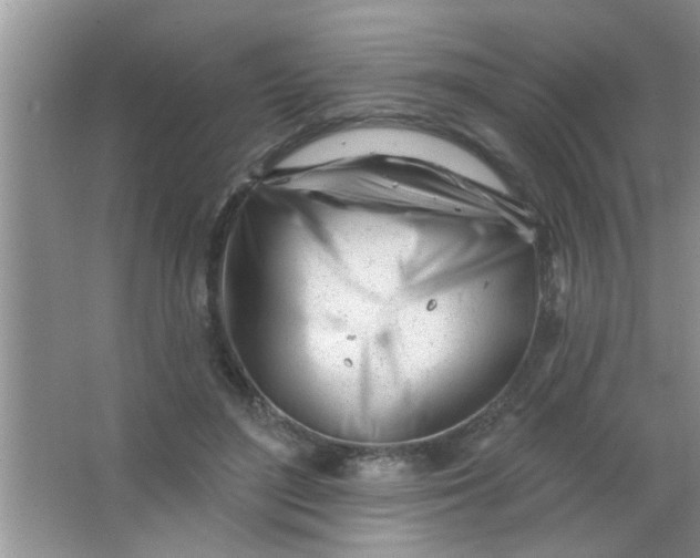 X0000063490500200602101837