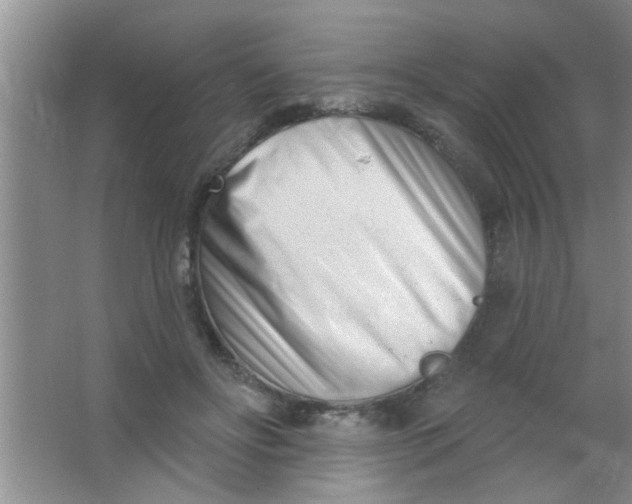 X0000063490502200602101837