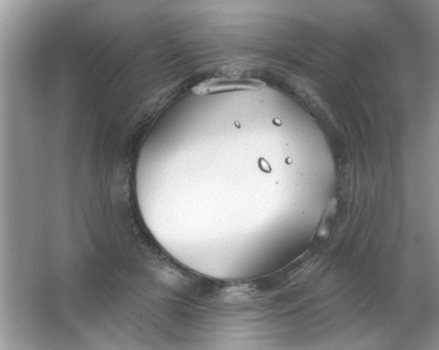 X0000063490505200602101837