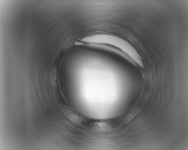 X0000063490509200602101837