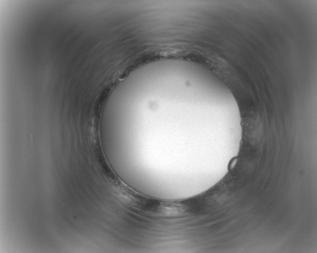 X0000063490510200602101837