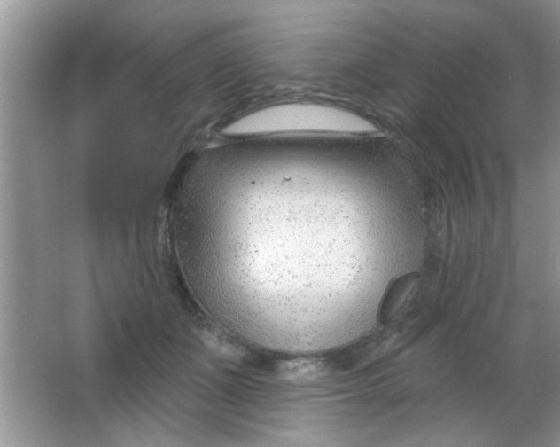 X0000063490511200602101836