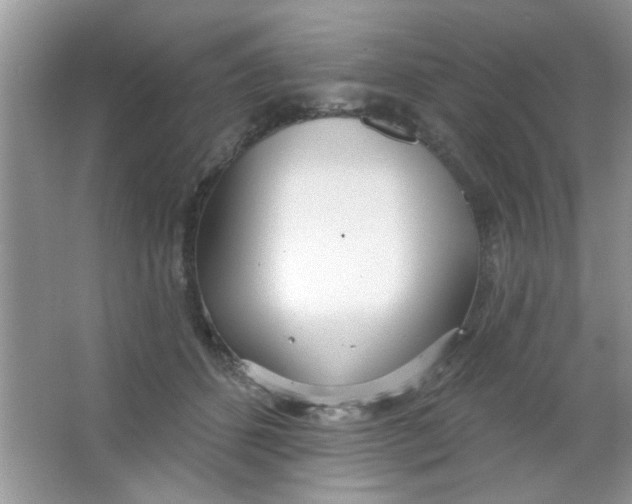 X0000063490512200602101836