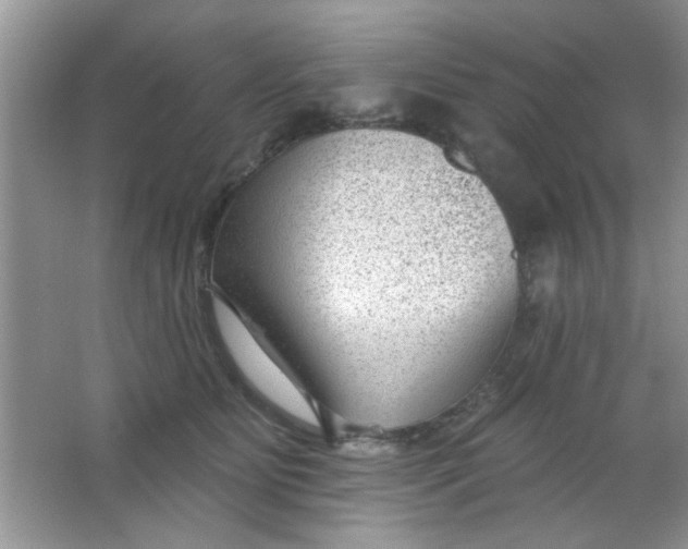 X0000063490515200602101836