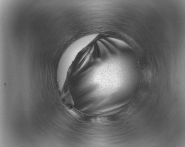 X0000063490517200602101836