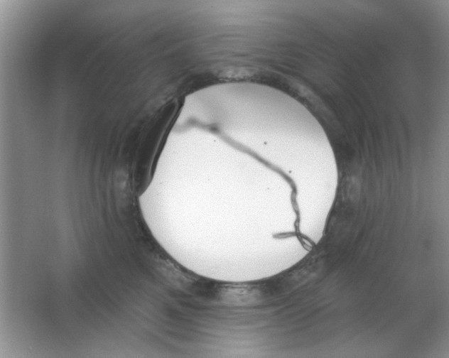 X0000063490521200602101836