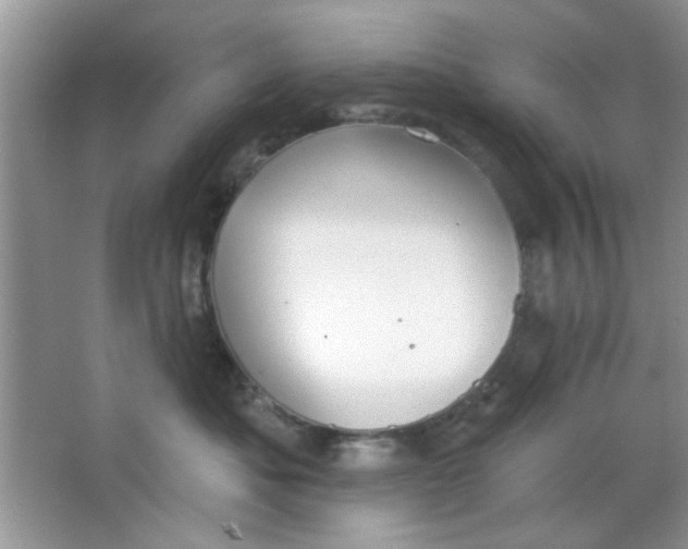 X0000063490525200602101836