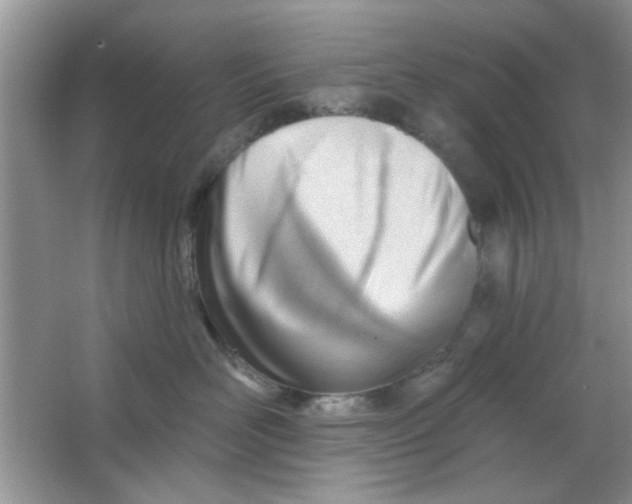 X0000063490526200602101836