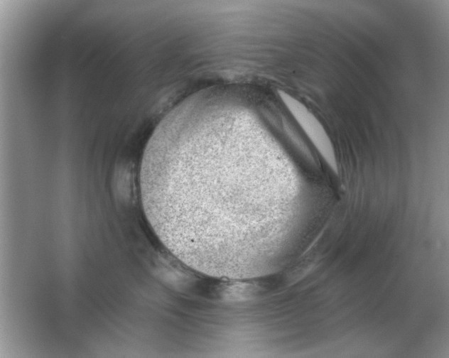 X0000063490527200602101836