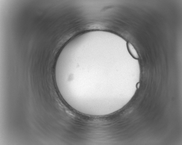 X0000063490529200602101835