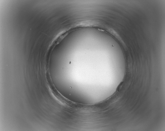 X0000063490530200602101835