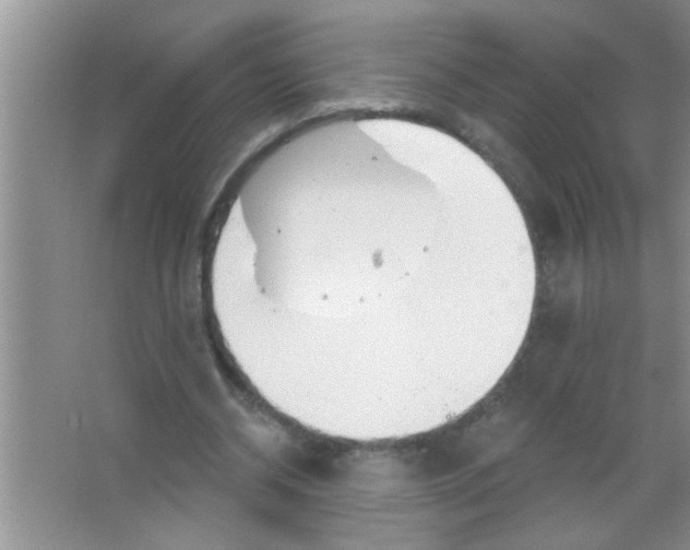 X0000063490534200602101835