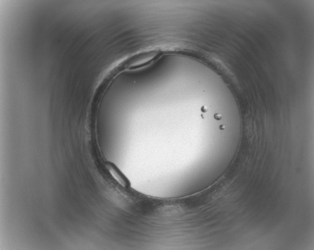 X0000063490536200602101836