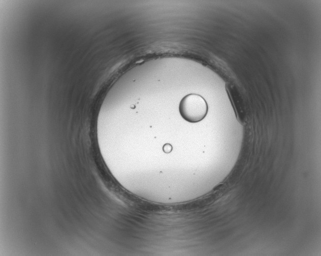 X0000063490538200602101836