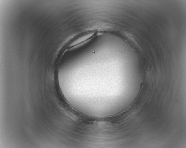 X0000063490539200602101836