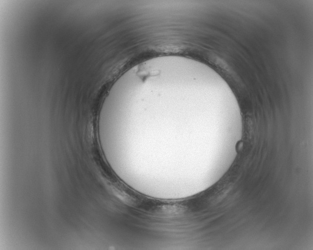 X0000063490541200602101836