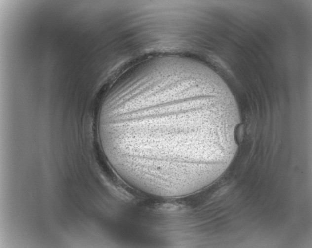 X0000063490542200602101836