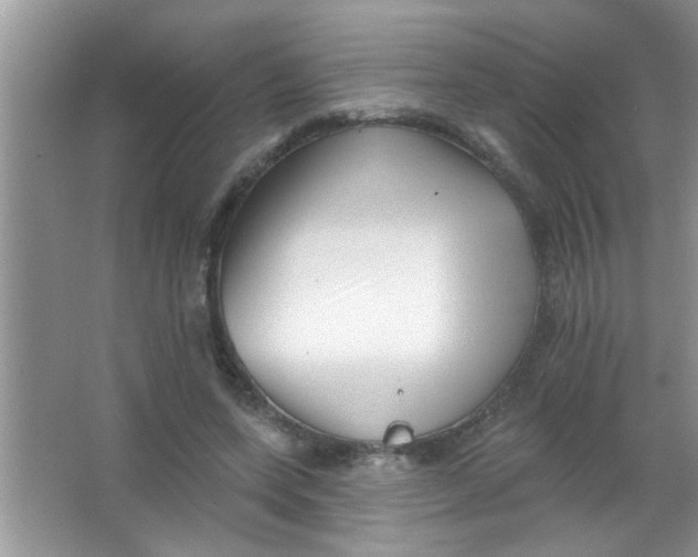 X0000063490543200602101836