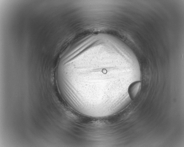 X0000063490545200602101836